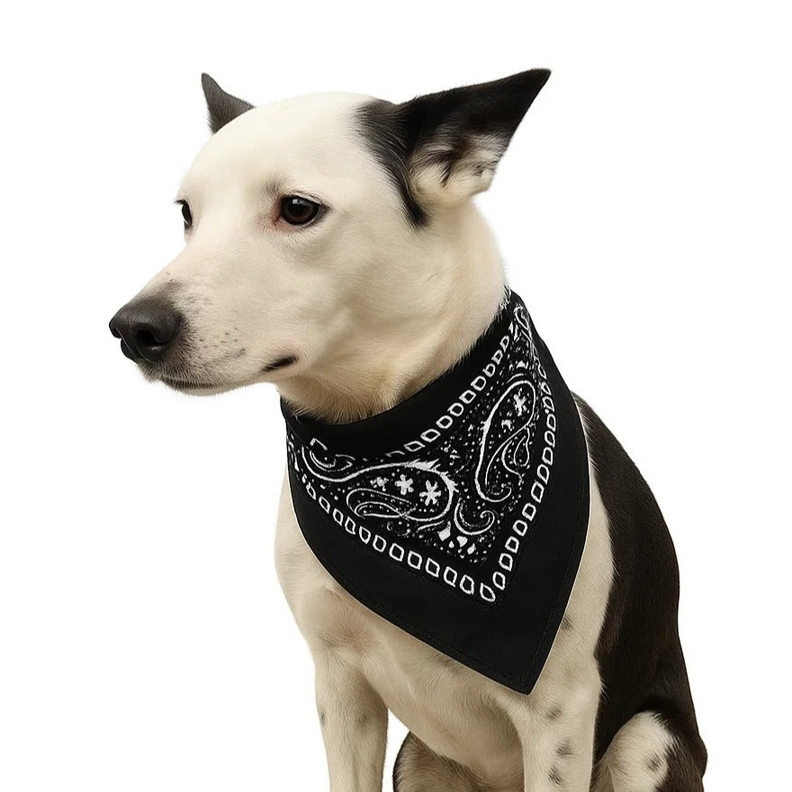 Bandanas 21x21" Western Cowboy Cowgirl - Navy Blue Light Blue Paisley Square Scarves 2 Pack