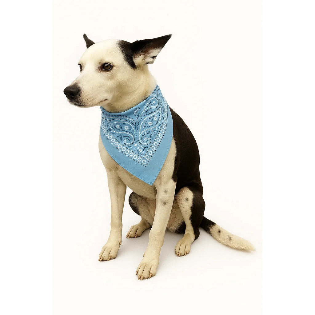 Bandanas 21x21" Western Cowboy Cowgirl - Navy Blue Light Blue Paisley Square Scarves 2 Pack